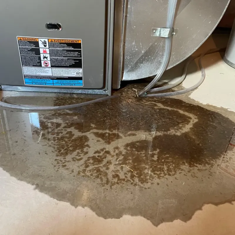 Appliance Leak Cleanup in Ithaca, NY